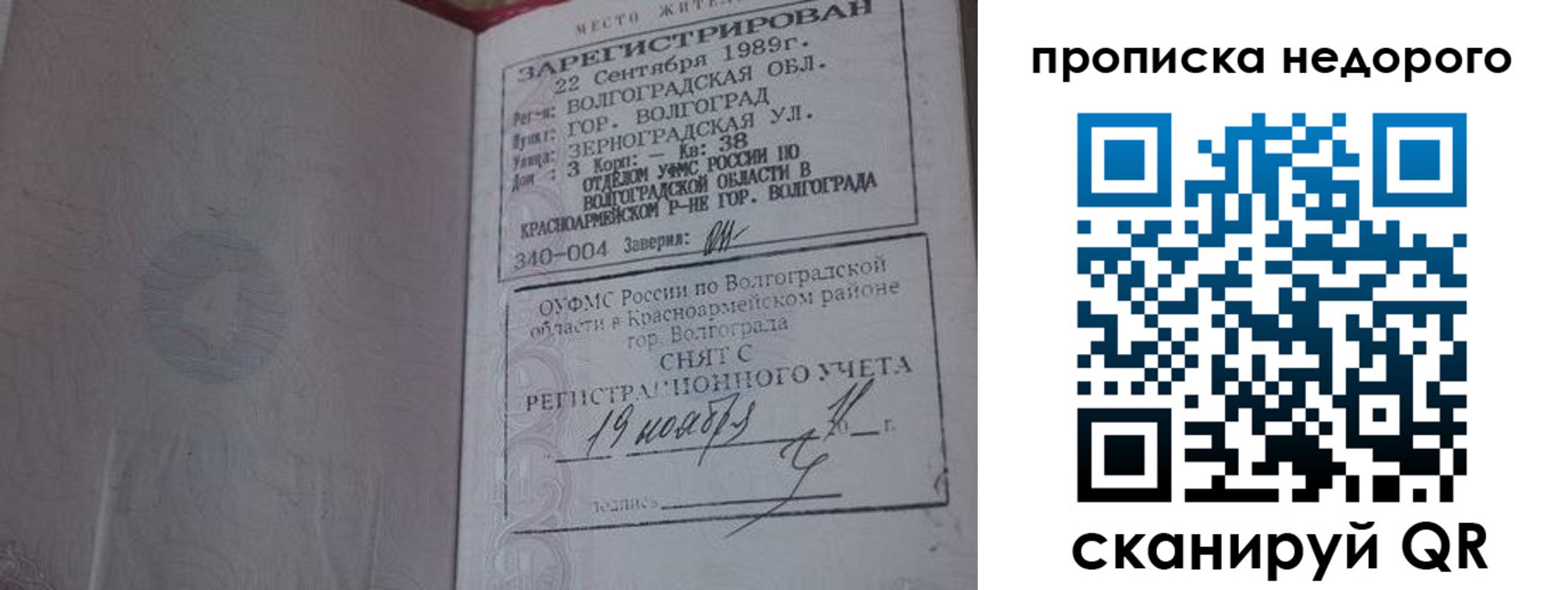 прописка гарантия в Палласовке